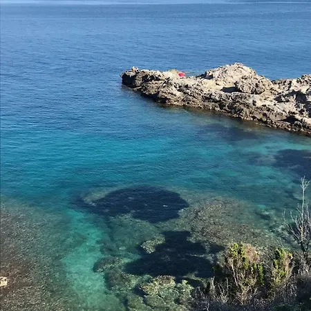 Elisabetta